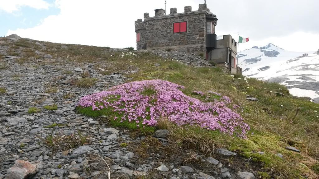 Rifugio Garibaldi Hotel Passo Stelvio Ngoại thất bức ảnh
